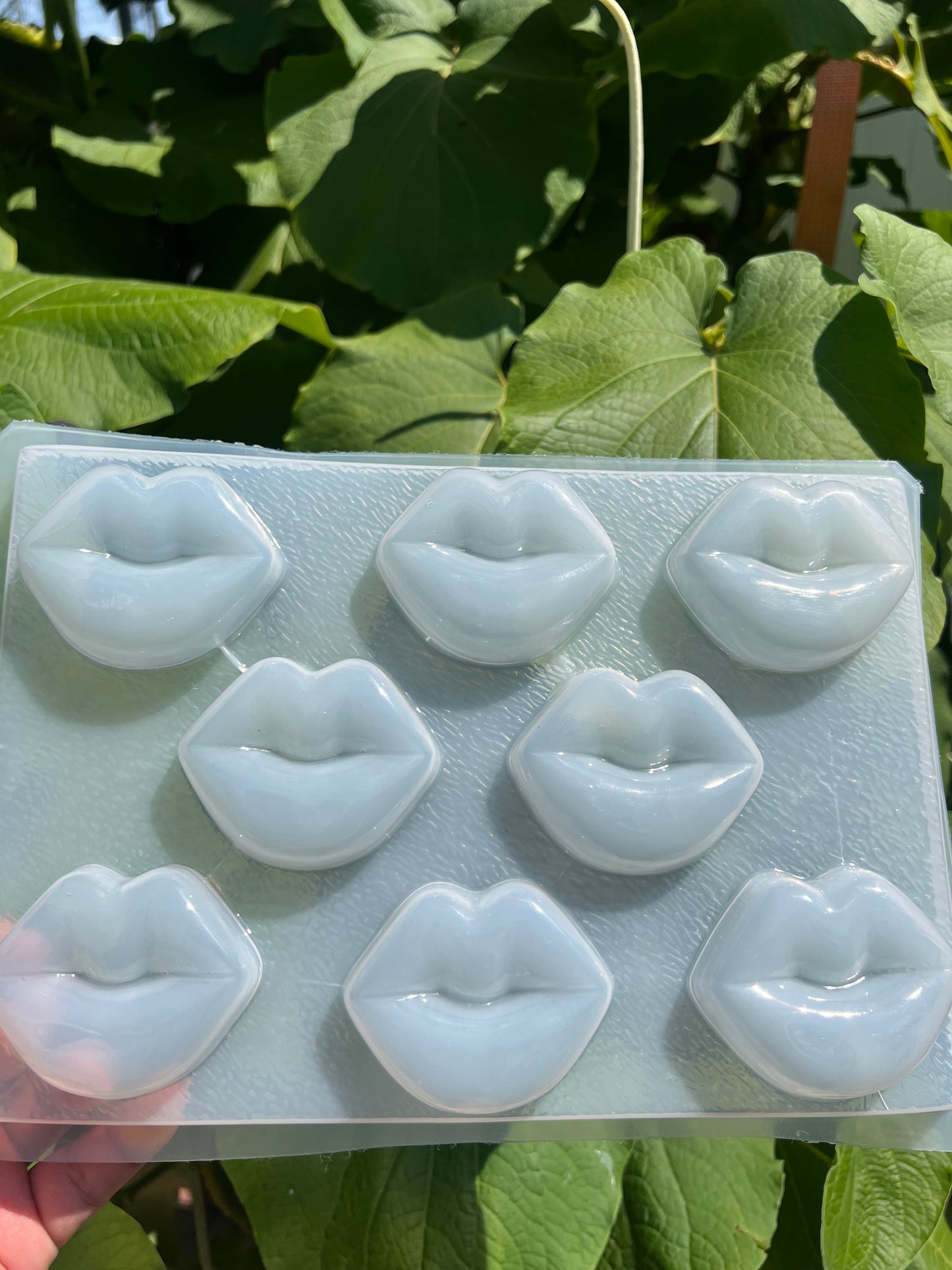 Lips mold, molde de labios