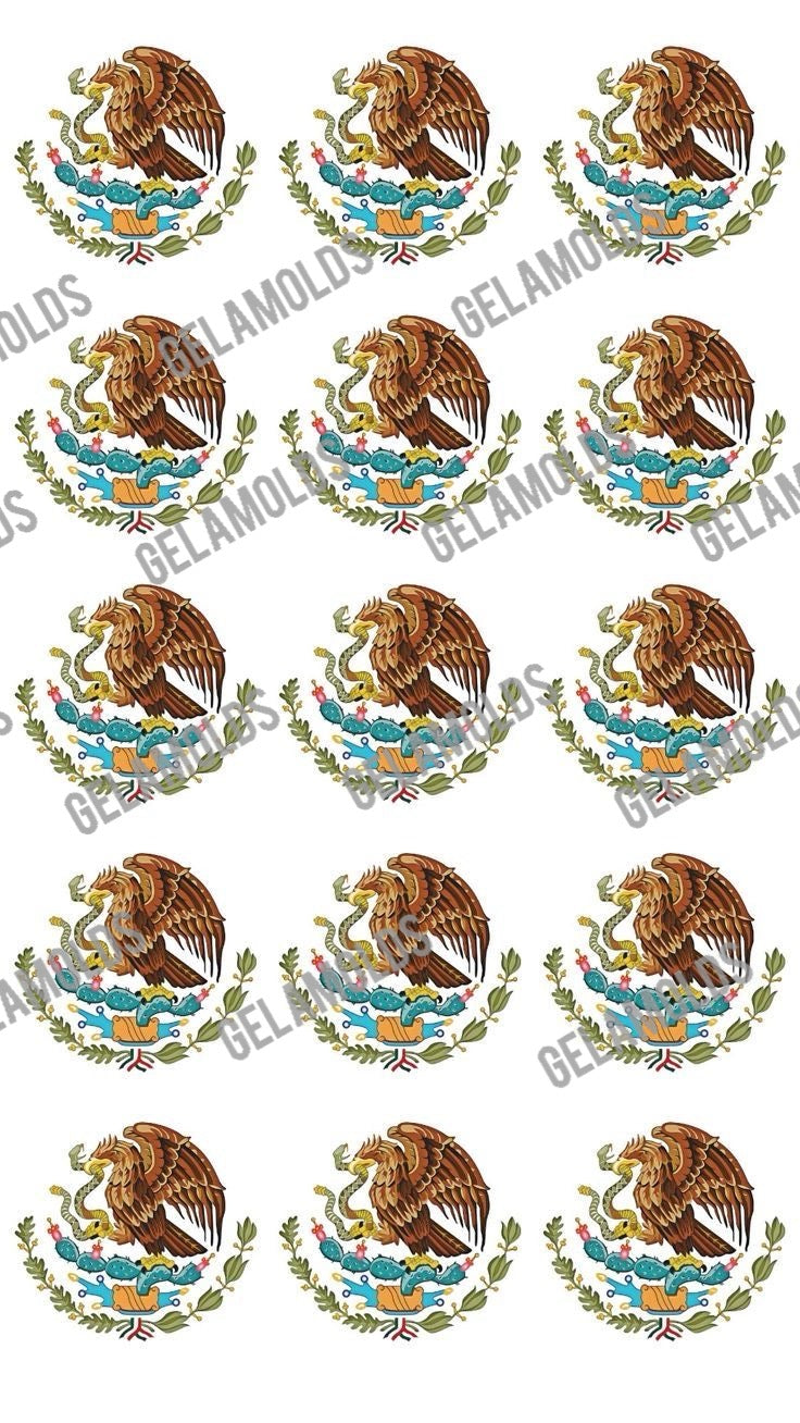 MEXICAN TRANSFER, TRANSFER MEXICANOS