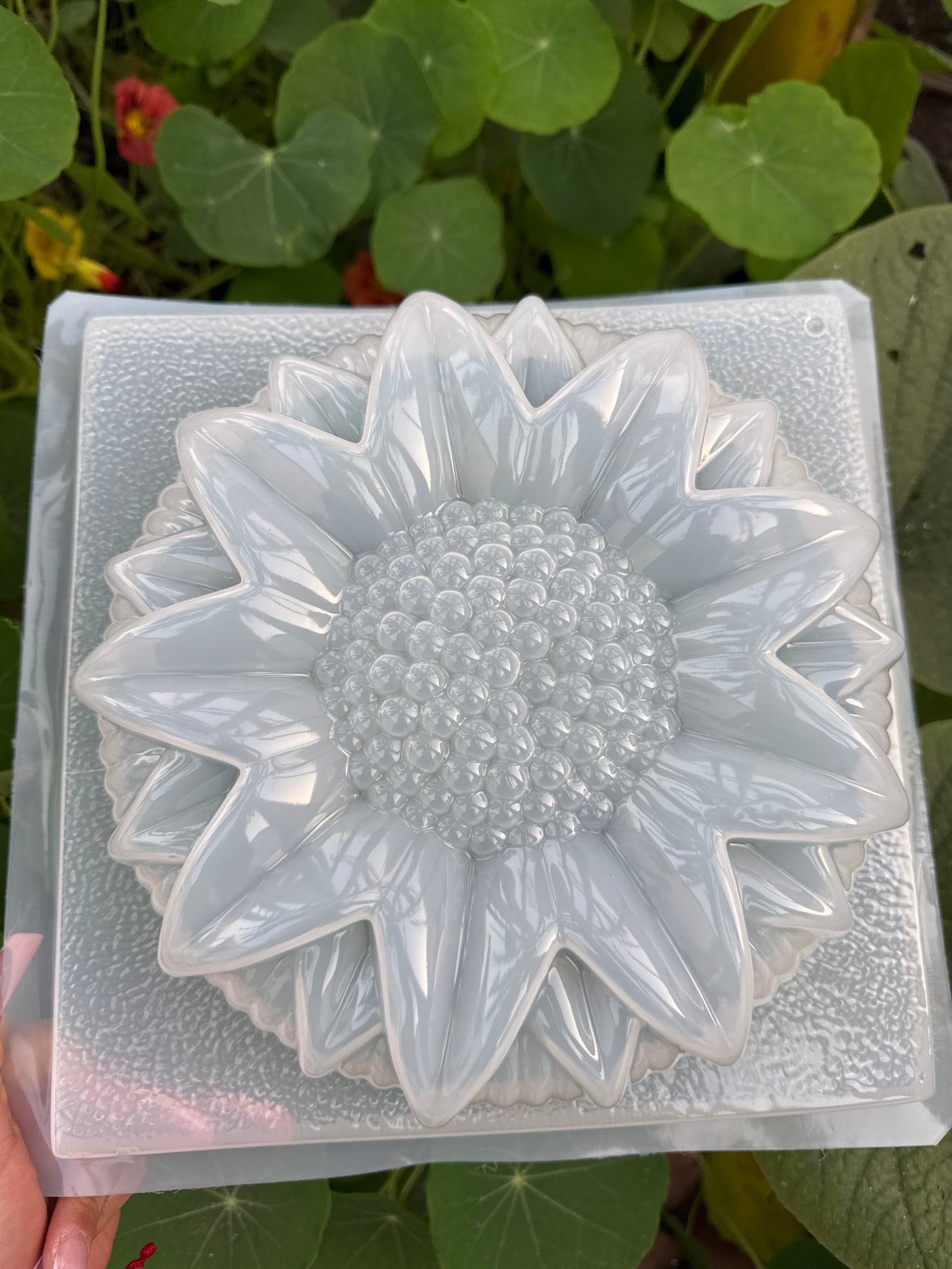 MOLDE DE GIRASOL, SUNFLOWER MOLD