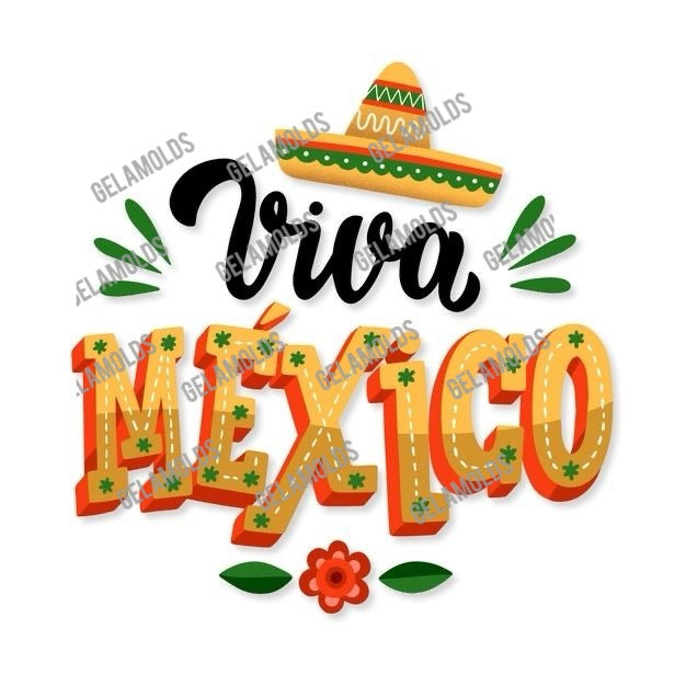 MEXICAN TRANSFER, TRANSFER MEXICANOS