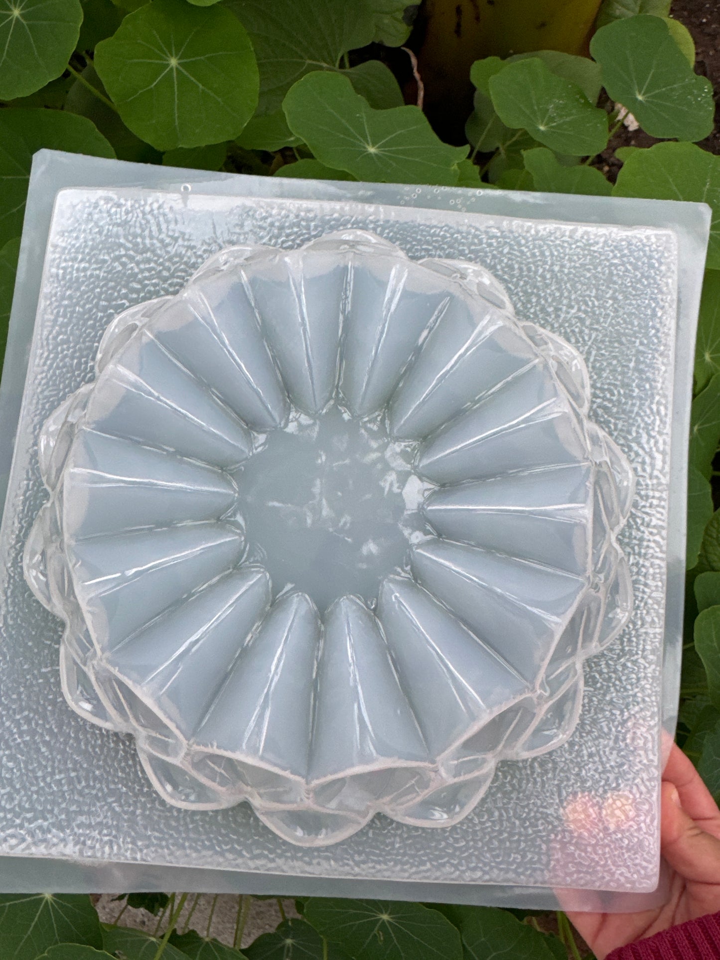 Round mold, gelatina molde, gelatina mold,  dessert table