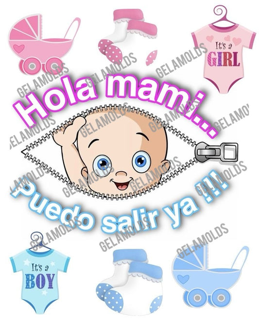 TRANSFER PARA BABYSHOWER, PANCITA TRANSFER