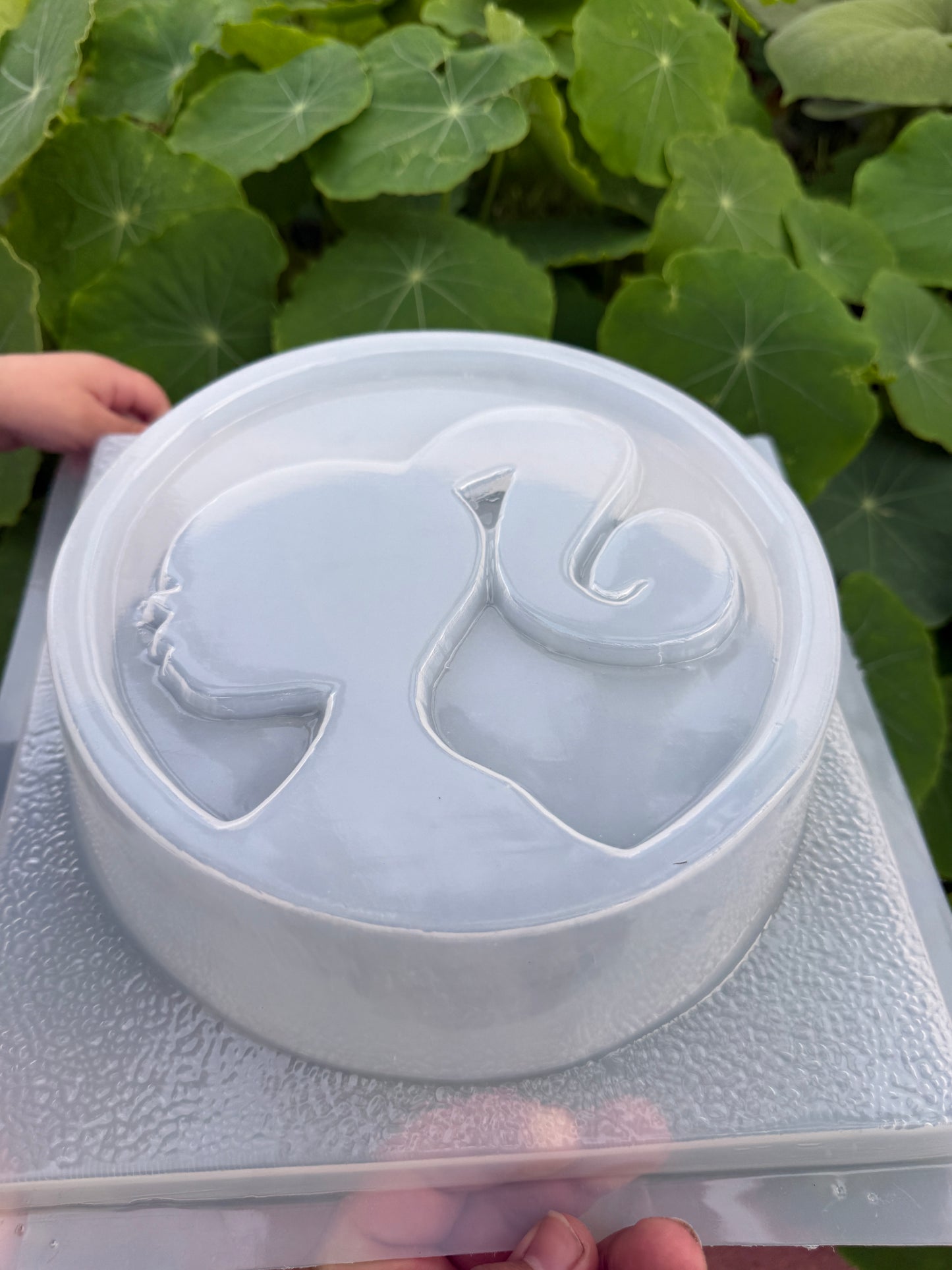 Barbie mold, molde de barby