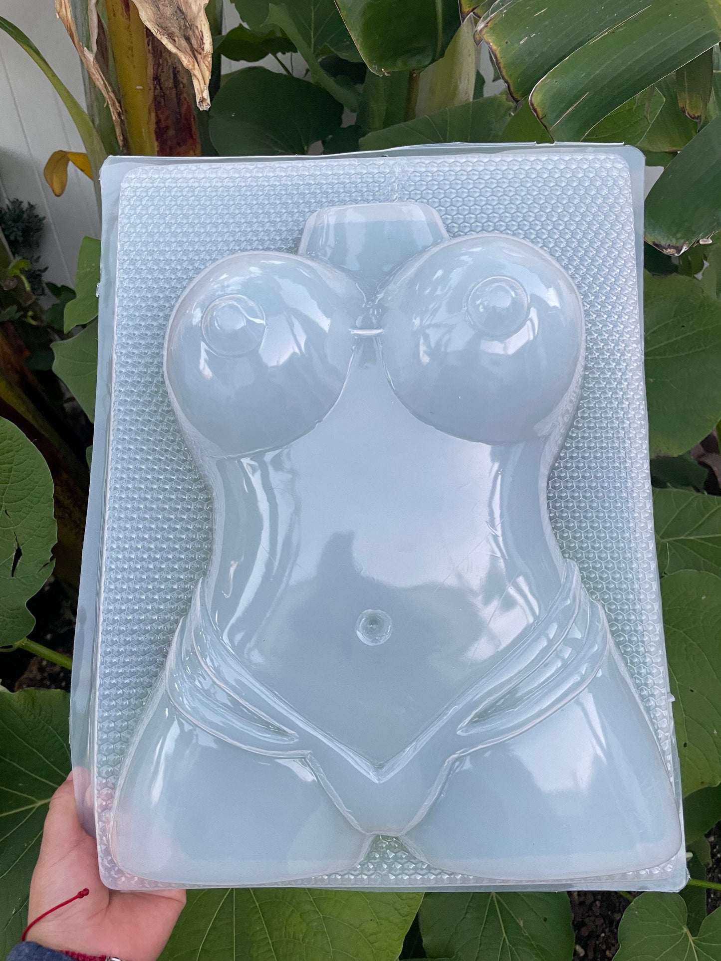 Bachelor mold, soltero mold, gelatina mold,  dessert table