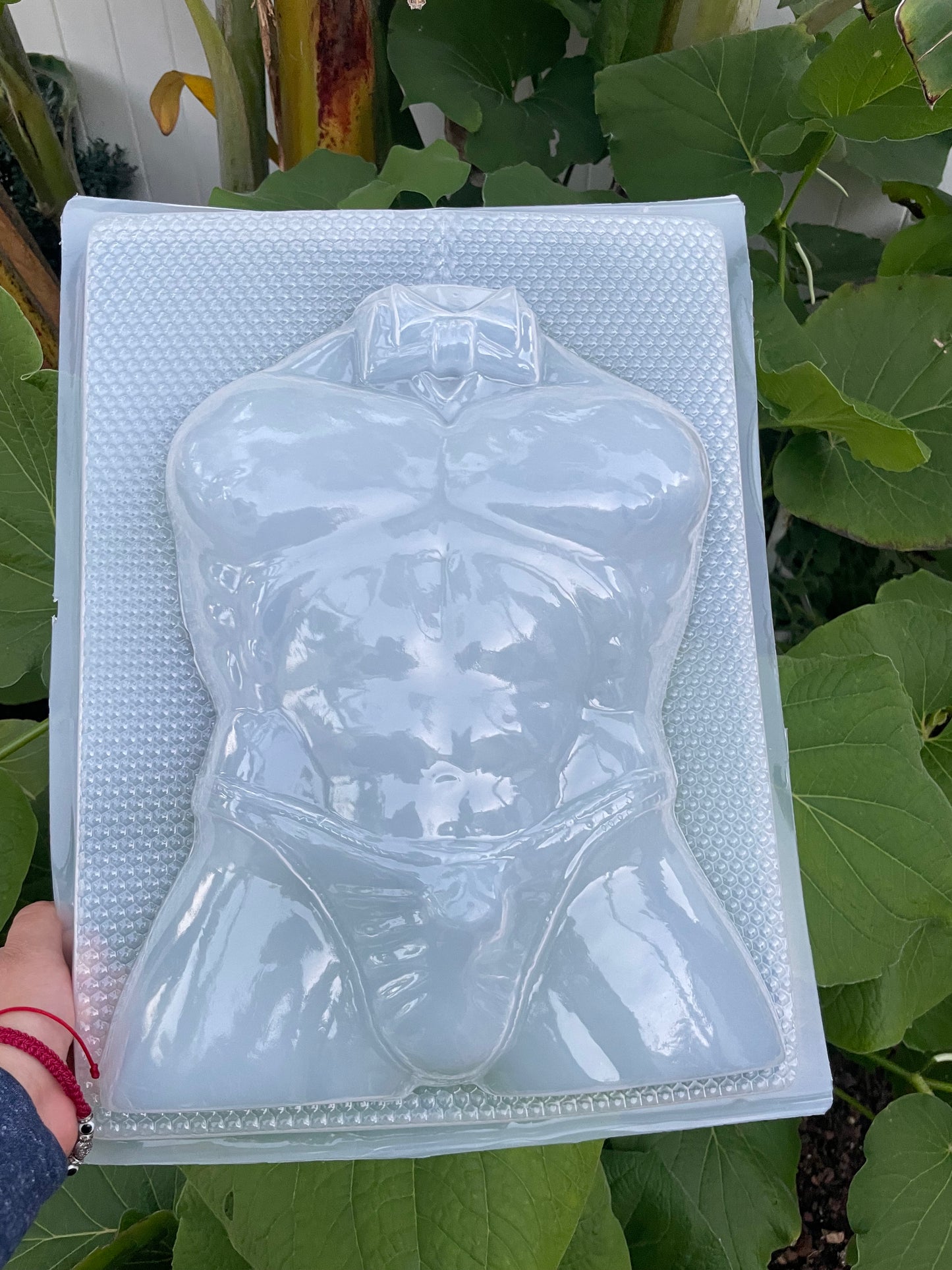 Bachelorette mold, soltera molde, gelatina mold,  sexy molde ,dessert table