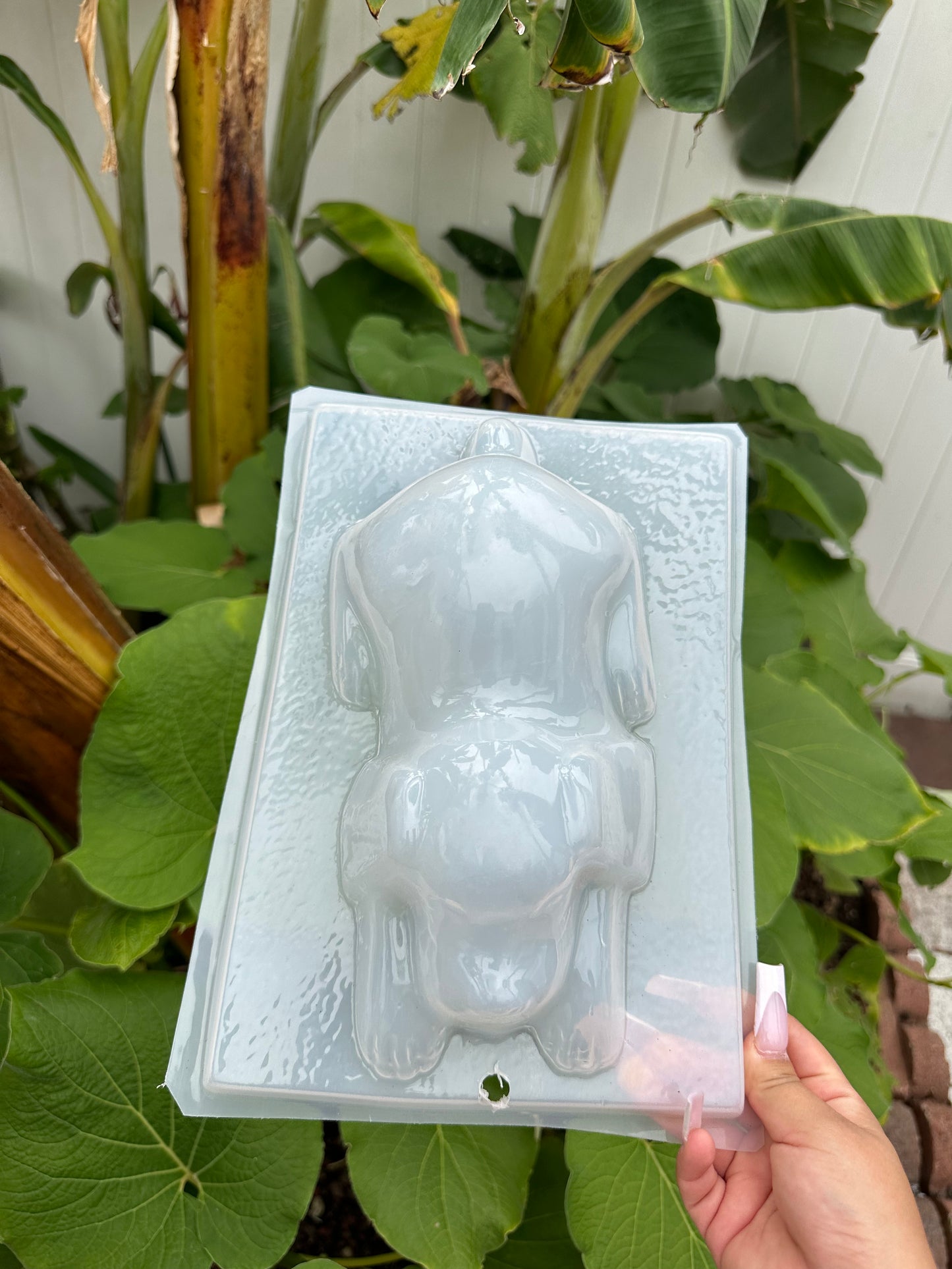 Dog mold, puppy mold, gelatina mold, dessert table