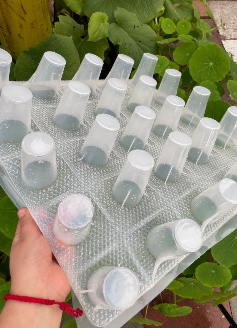 GELAPALETAS MOLD (25 cups)