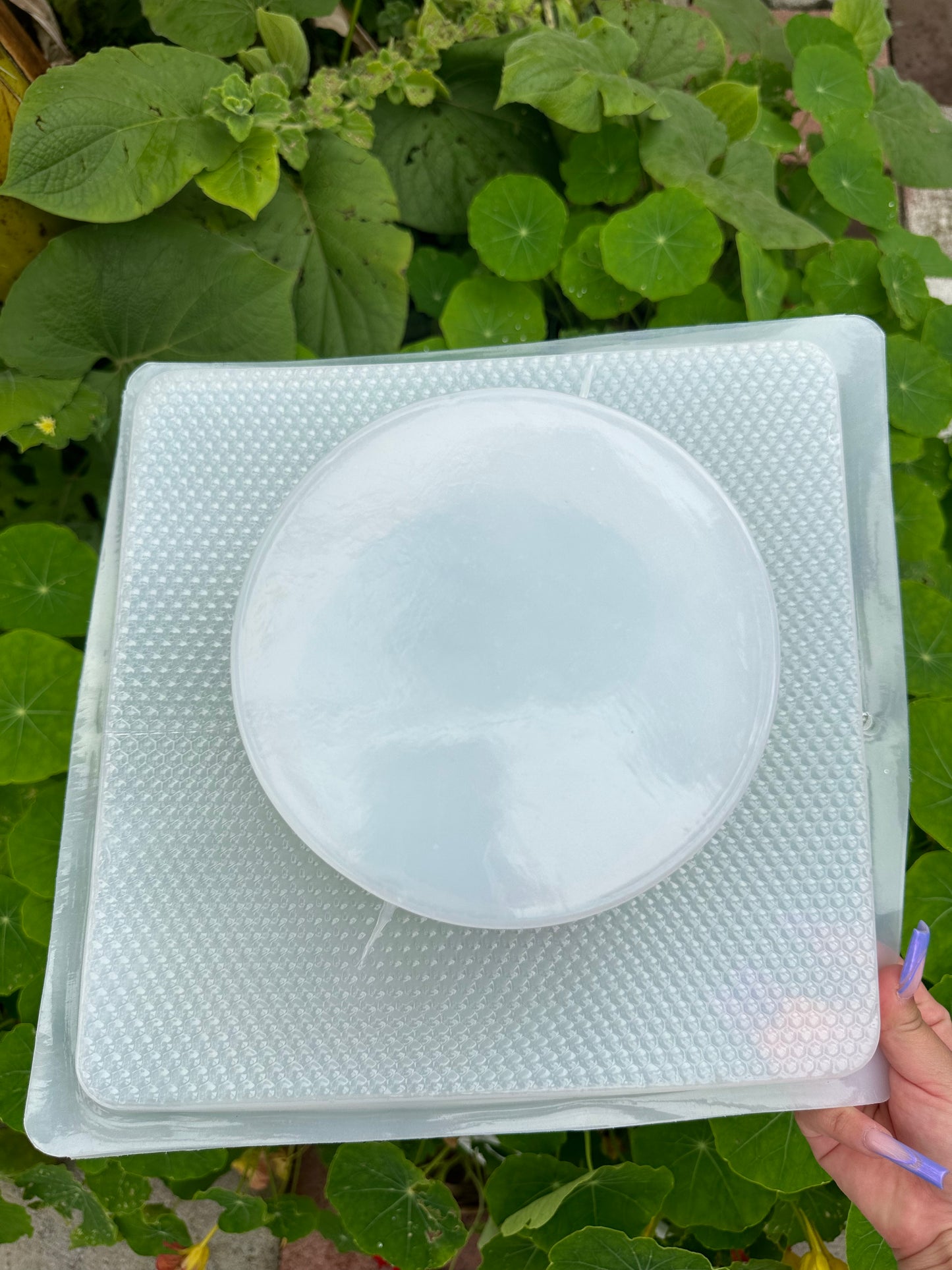 Round mold,gelatina mold,  dessert table, molde redondo