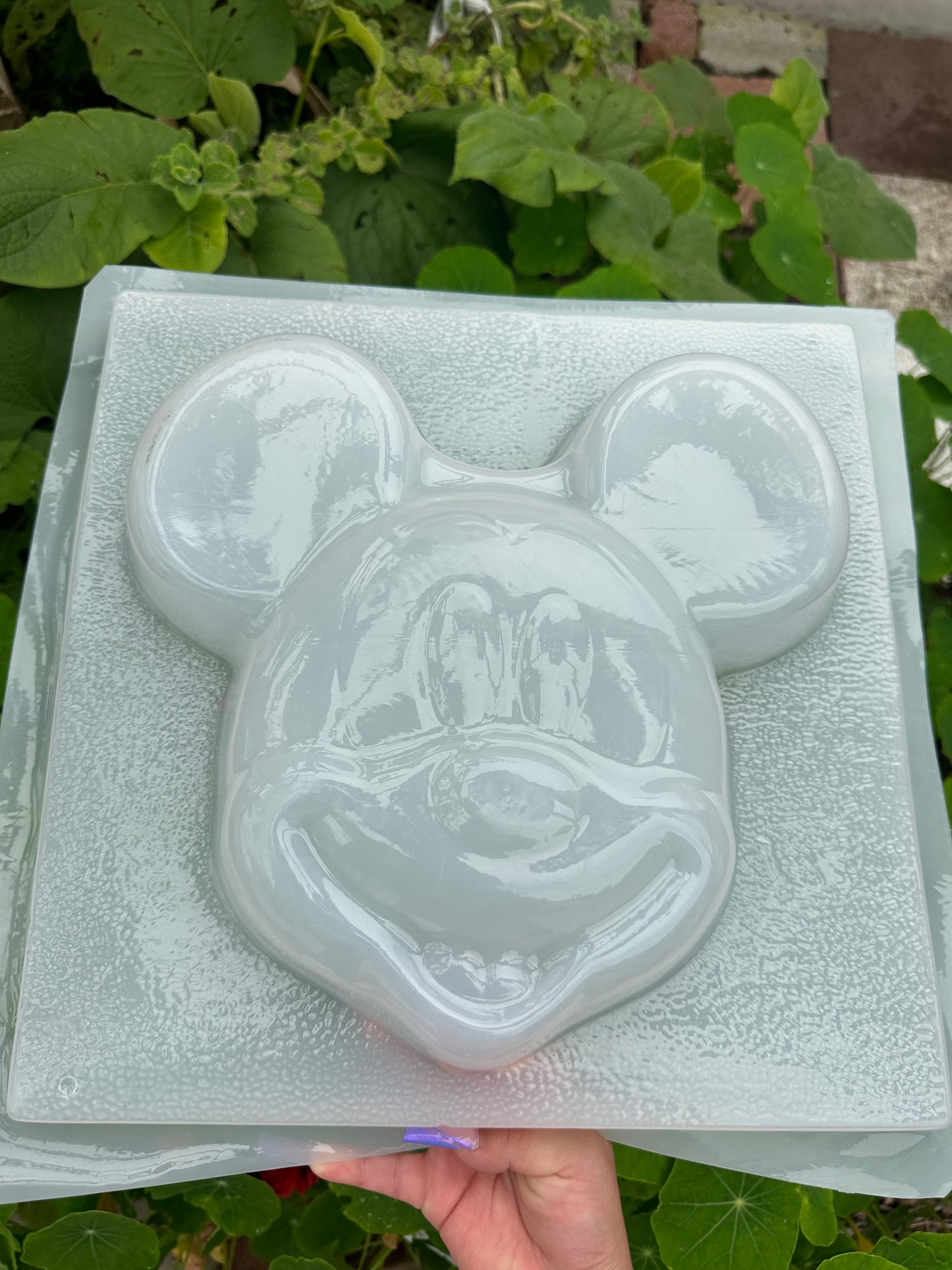 Mickey Mouse mold, Disney mold, gelatina mold,  dessert table