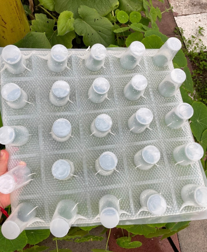 GELAPALETAS MOLD (25 cups)