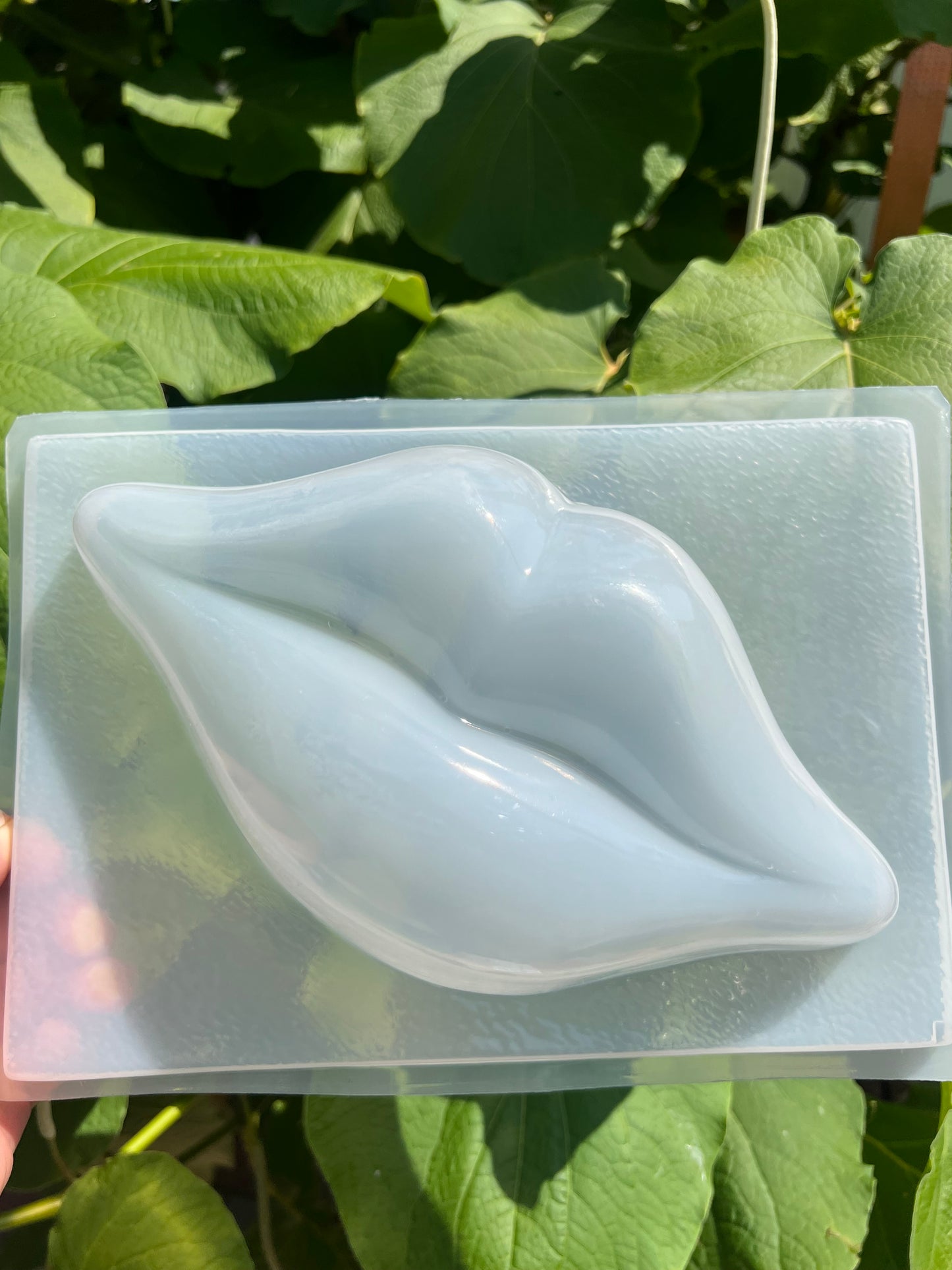 Lips mold, molde de labios