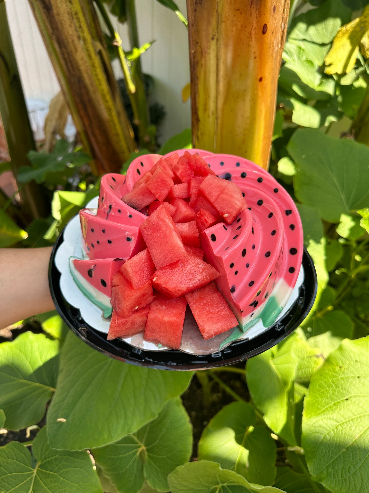 Swirl mold, molde redondo