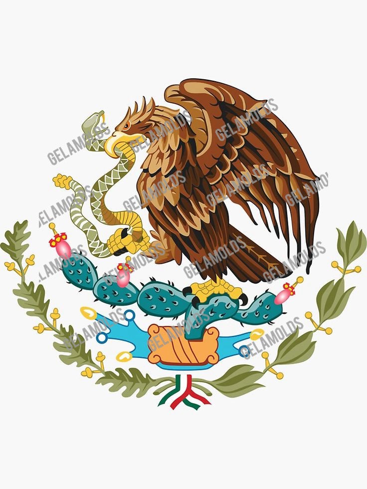 MEXICAN TRANSFER, TRANSFER MEXICANOS