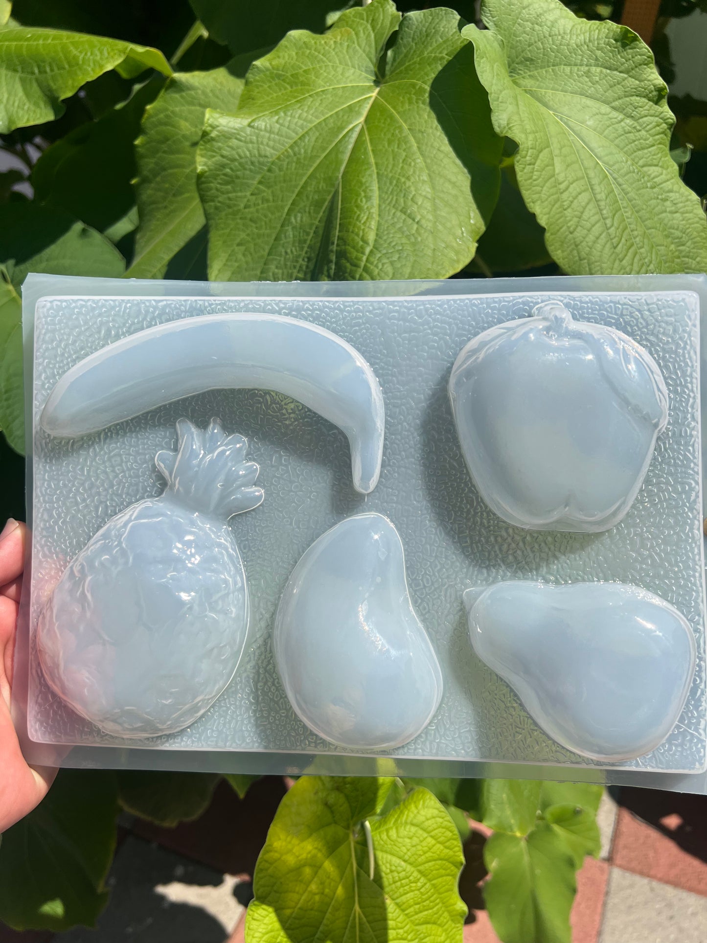 Fruit mold, molde de frutas