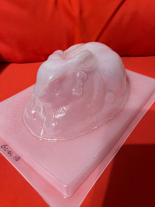 Easter Bunny Mold, Bunny Mold, Conejo Molde