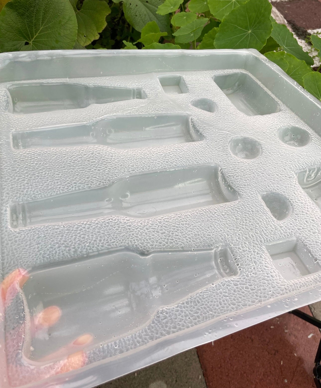 Beer mold, gelatina mold, dessert table, beer and limes mold, cervesa molde