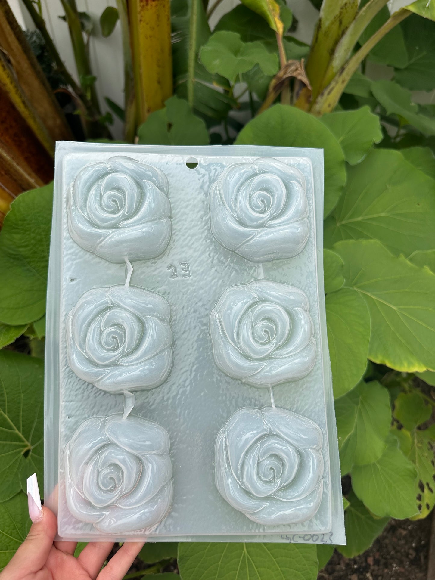 Roses mold, molde de rosas, gelatina moldes