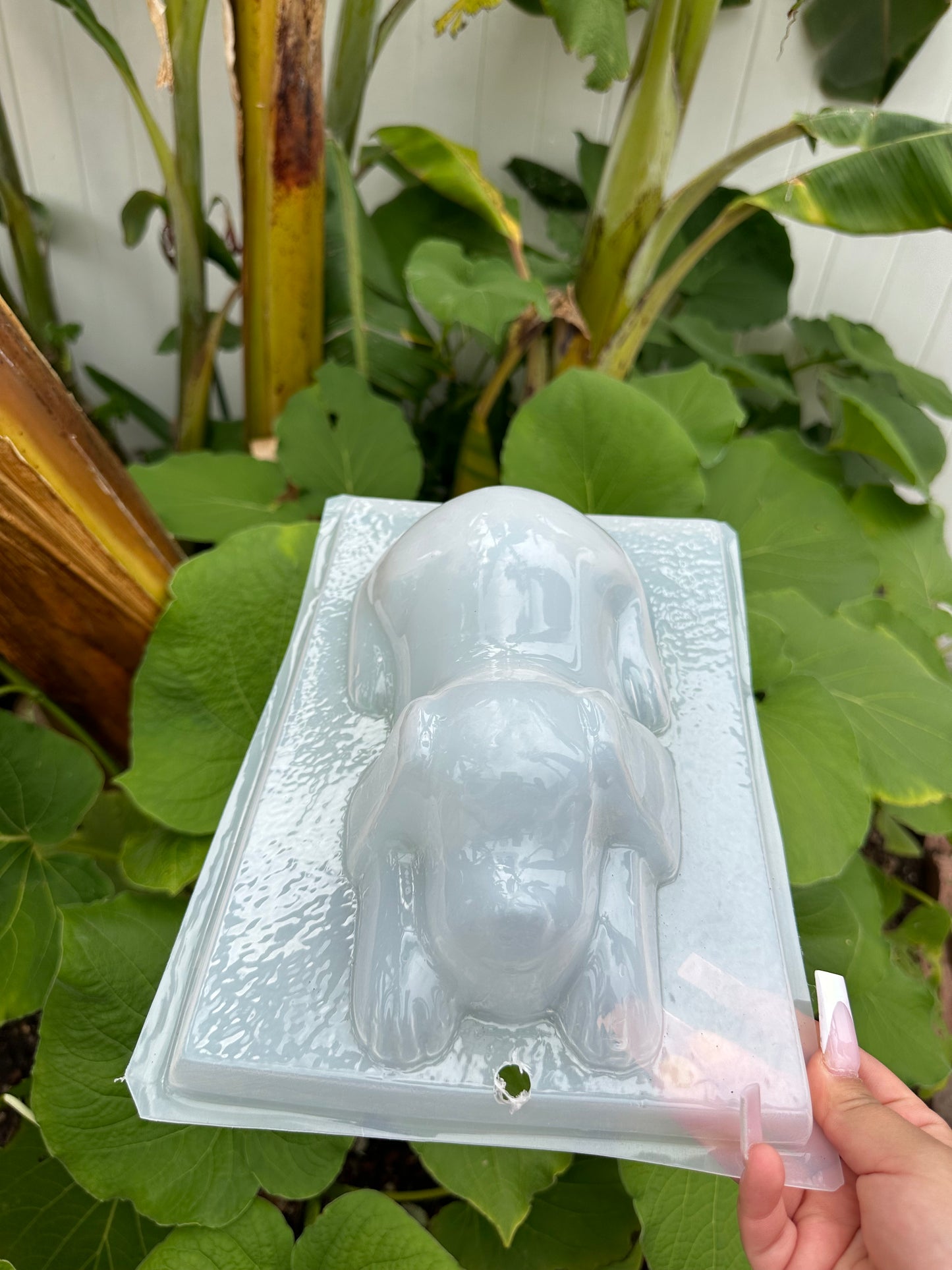 Dog mold, puppy mold, gelatina mold,  dessert table