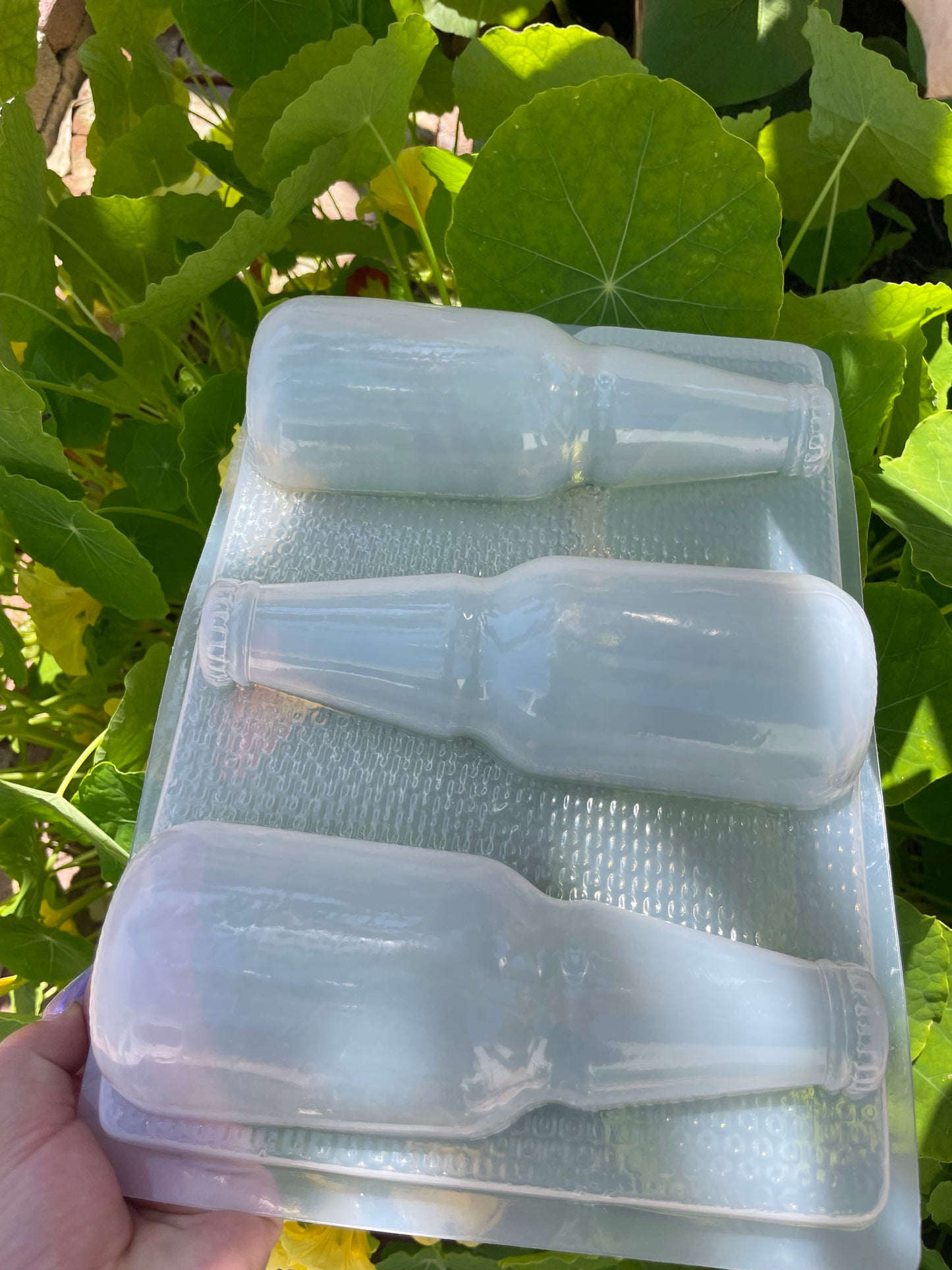 BEER MOLD, CERVEZA MOLD