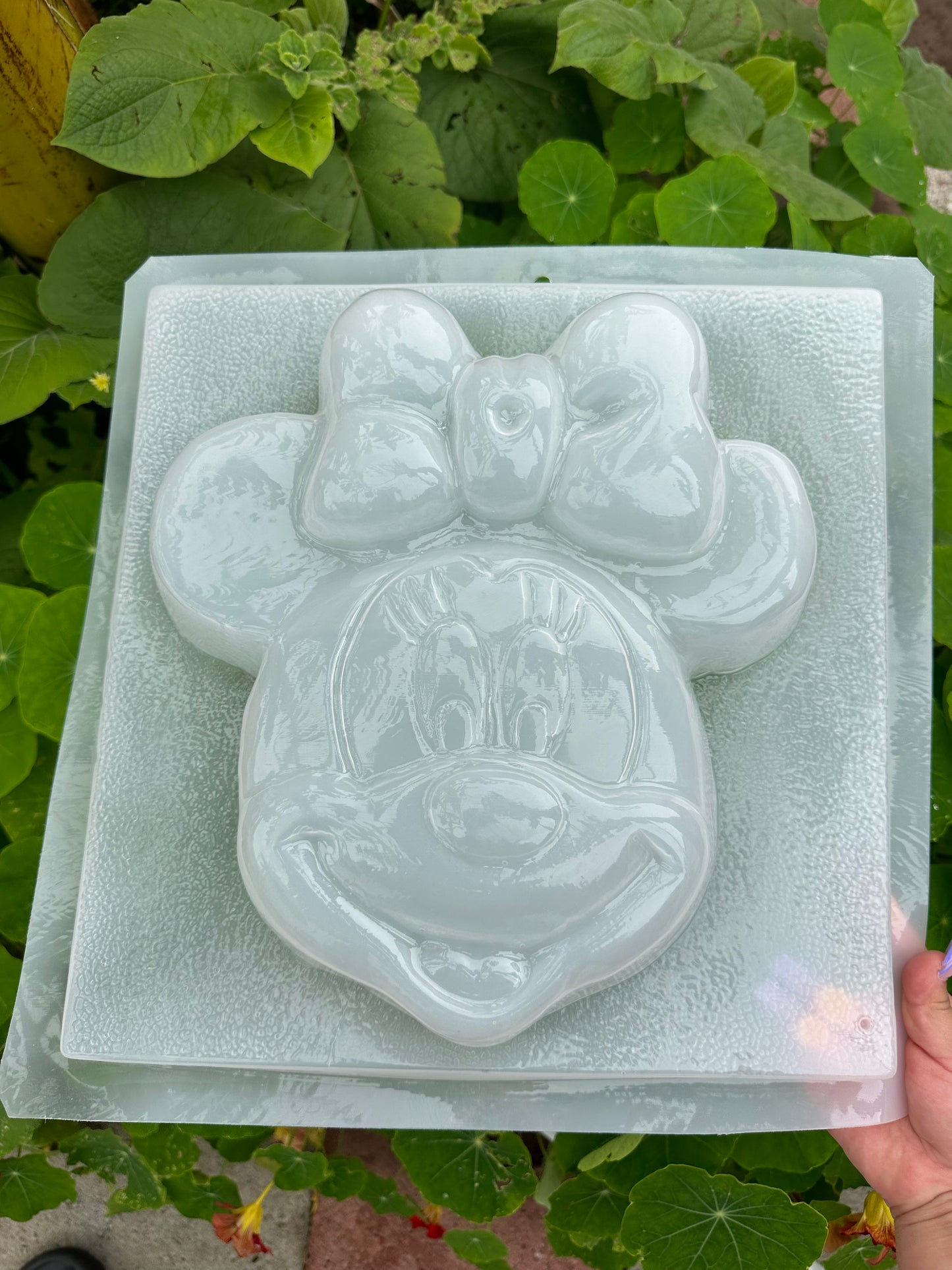Mickey Mouse mold, Disney mold, gelatina mold,  dessert table