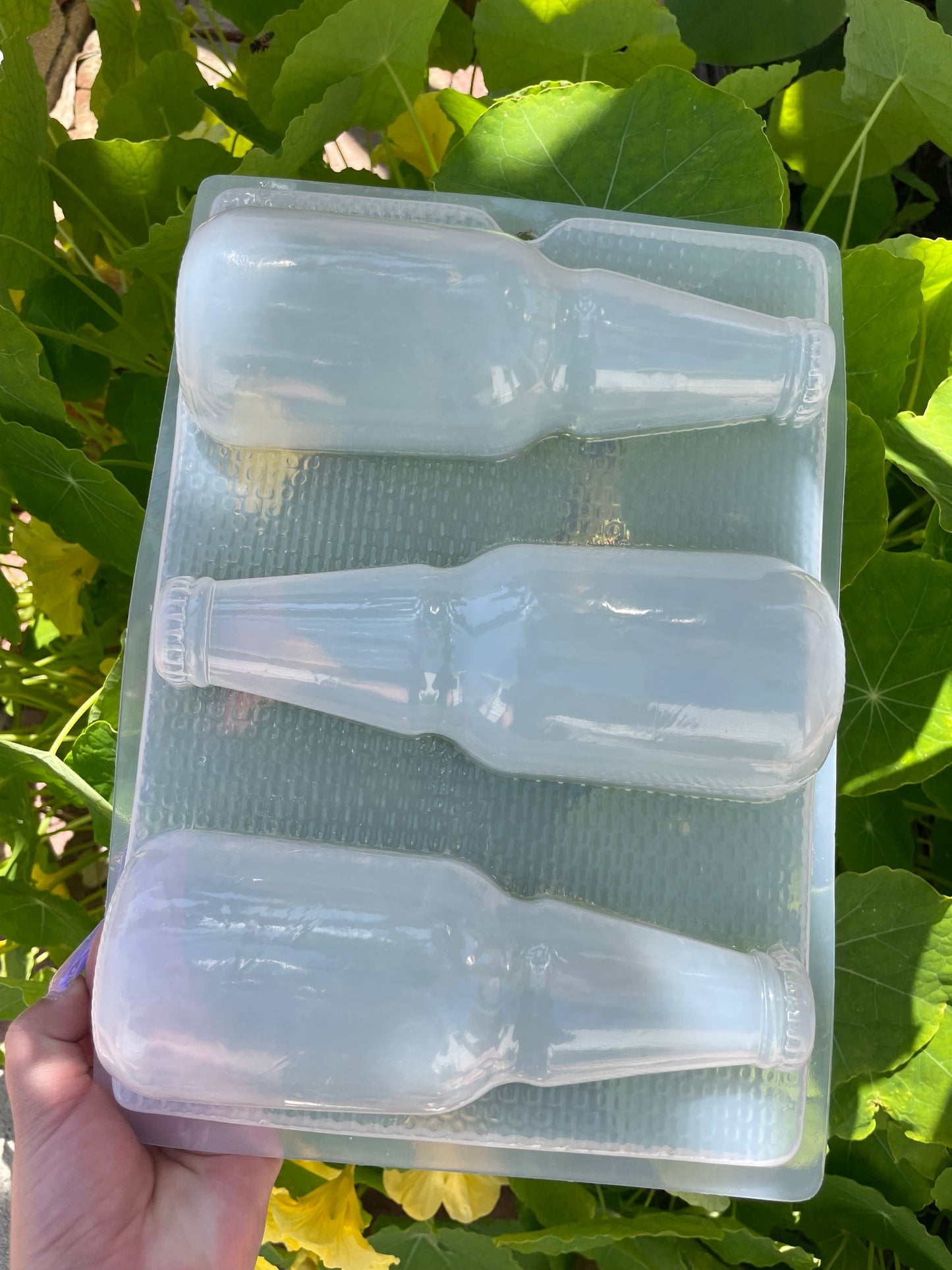 BEER MOLD, CERVEZA MOLD