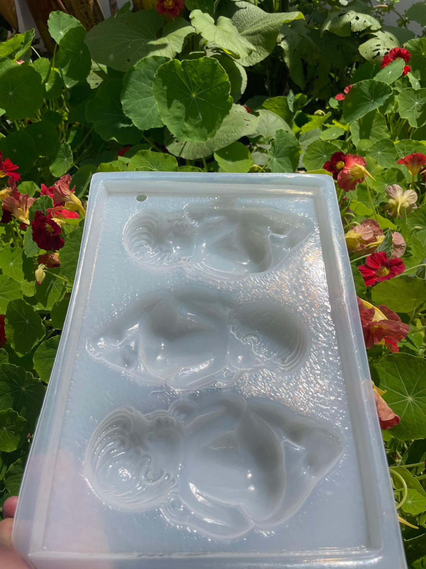 BABY SHOWER, PREGNANCY MOLD